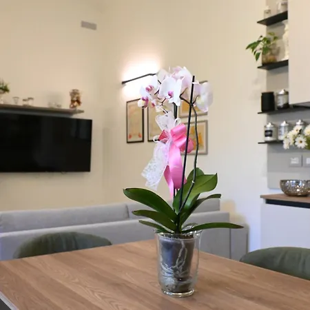 Cn005 - Cesenatico, Nuova Singola Con Corte Esterna *