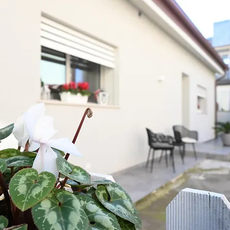 Cn005 - Cesenatico, Nuova Singola Con Corte Esterna *