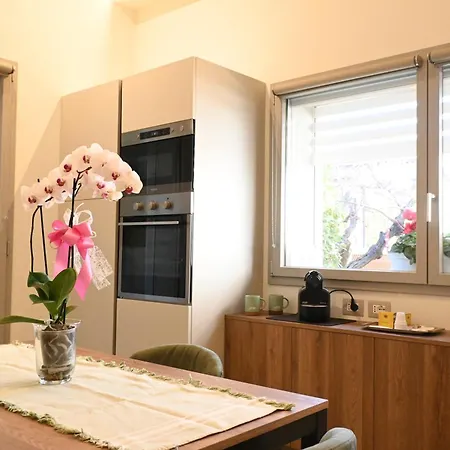 Cn005 - Cesenatico, Nuova Singola Con Corte Esterna Διαμέρισμα