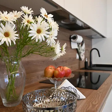 Cn005 - Cesenatico, Nuova Singola Con Corte Esterna * Cesenatico