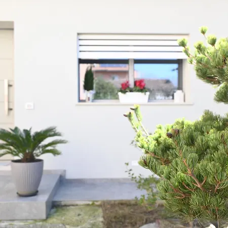 Cn005 - Cesenatico, Nuova Singola Con Corte Esterna Διαμέρισμα Cesenatico