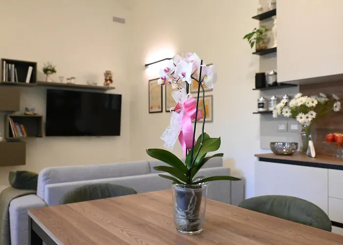 Cn005 - Cesenatico, Nuova Singola Con Corte Esterna *